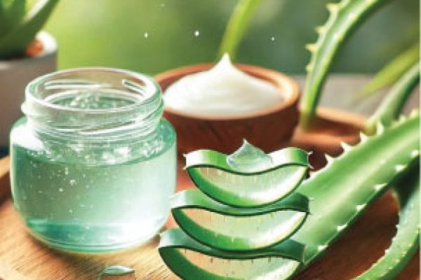Greenspec-International-thematic-areas-Applied-Pharmaceuticals-Botanicals-&-Natural-Cosmetics