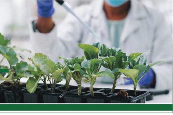 Greenspec-International-thematic-areas-Applied-Research&Innovation