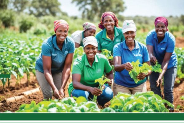 Greenspec-International-thematic-areas-Inclusive-Enterprise-Development
