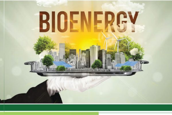 Greenspec-International-thematic-areas-RenewableEnergy&-BioenergySolutions